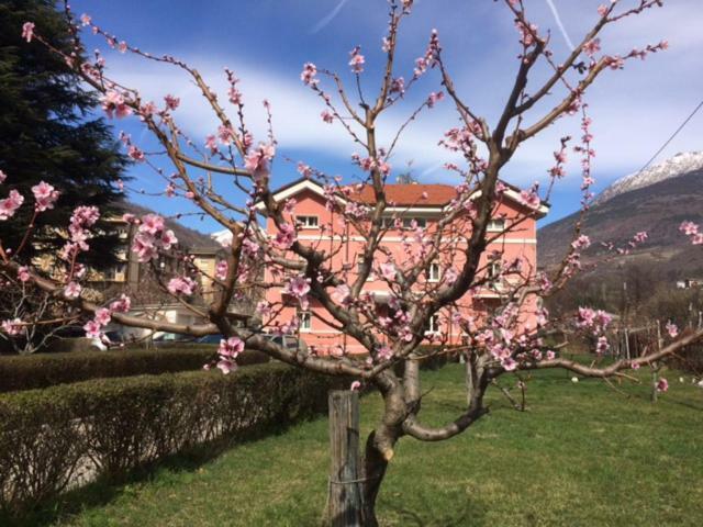 Апартаменти Al Borgo Di Sant'Orso - Cir 0342 Аоста Екстер'єр фото